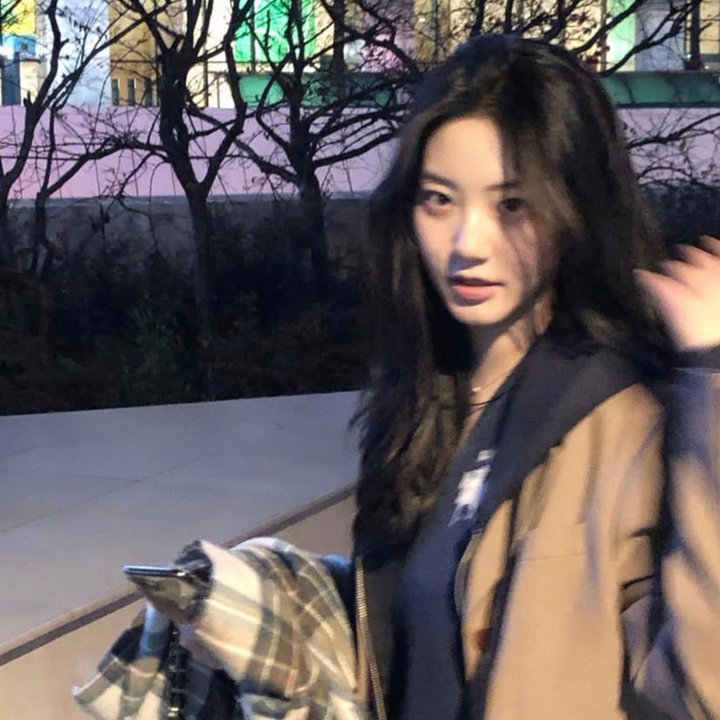 唐娜提拉
